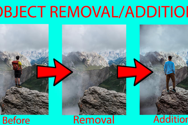 I will remove,add any object professionally in photoshop