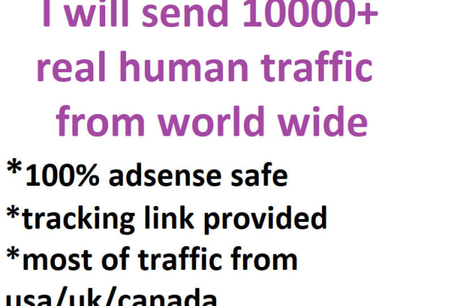 I will send adsense safe human traffic no bots real visitors