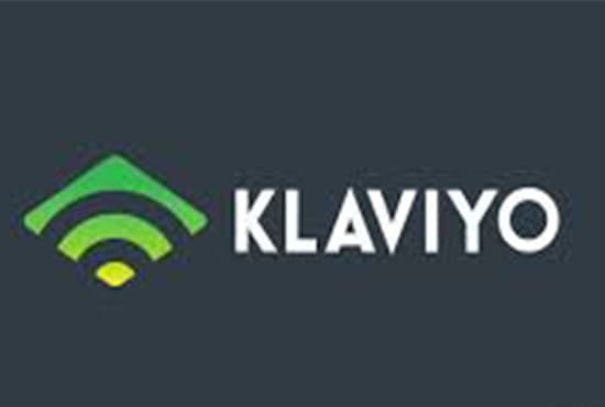 I will setup klaviyo email flows