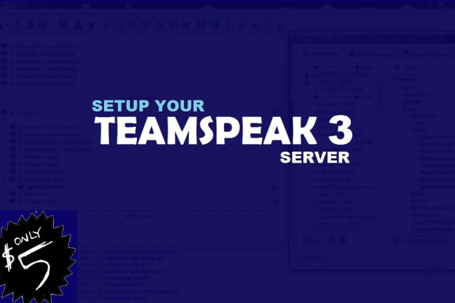 I will setup your teamspeak server permissions and rooms