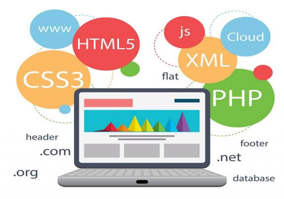 I will solve html,css,javascript and php issues