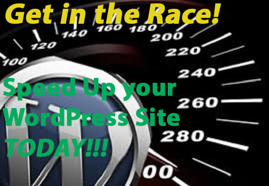 I will speed up and optimize your wordpress site or shopify store