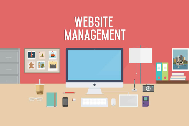 I will update, manage and fix your wordpress website