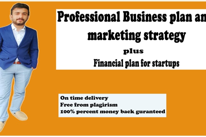 I will write a business plan and marketing strategy for your startup