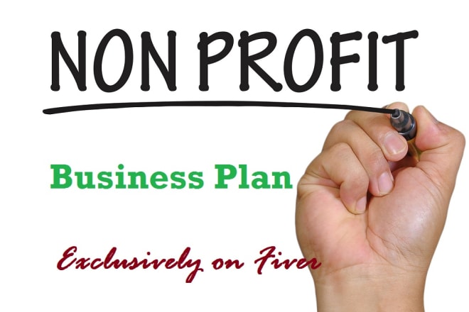 I will write a complete non profit business plan