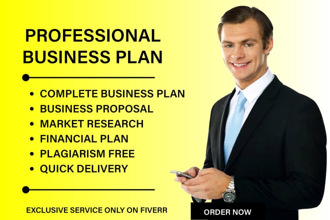 I will write business plan, business plan writer, business plans