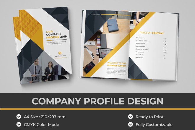 I will write content and design an amazing company profile