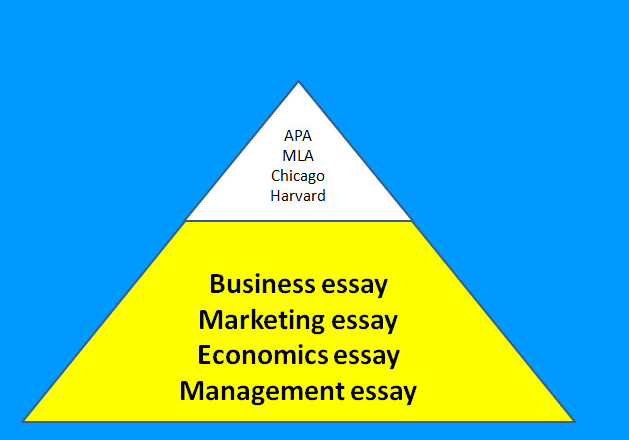 I will write essays in business, economics, and management