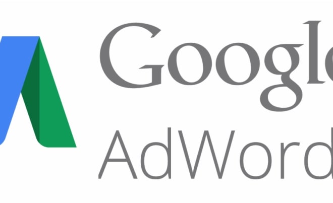 I will create, manage and optimize google ads