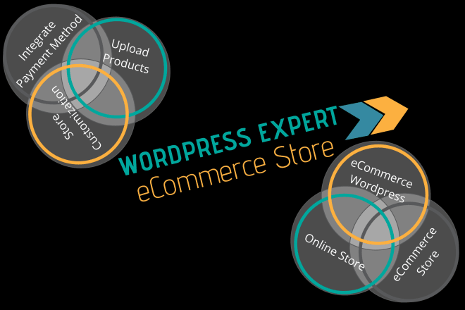 I will create online store and woocommerce website using word press
