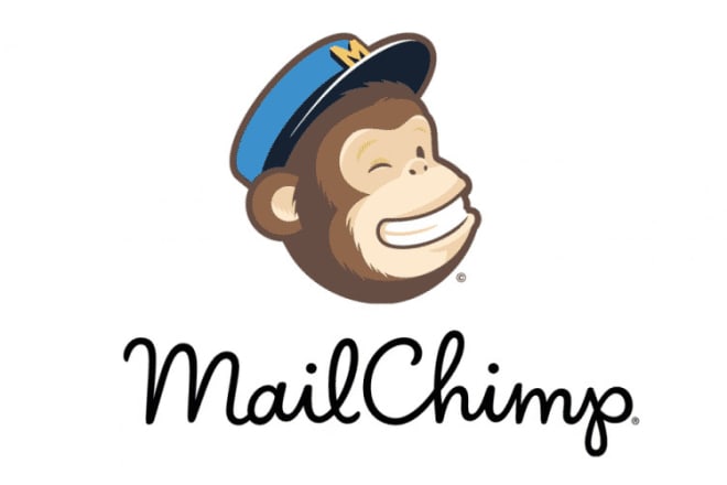 I will design a beautiful mailchimp newsletter