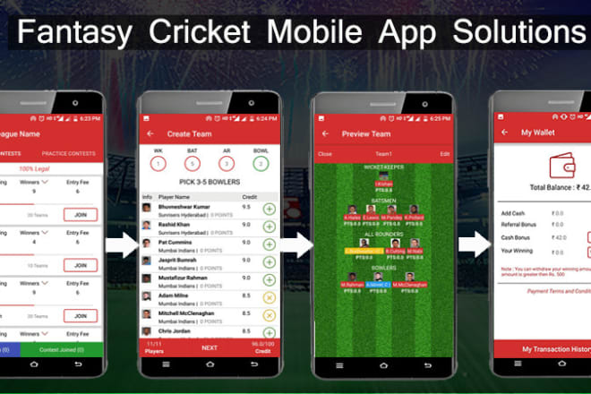 I will develop fantasy cricket website and app like dream11