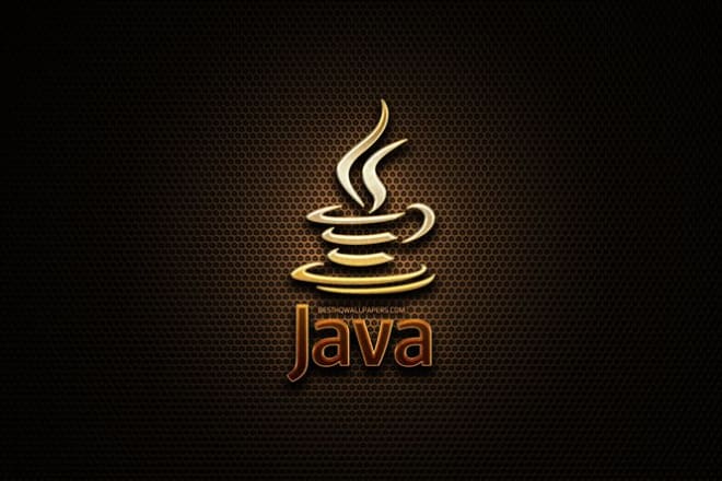 I will develop java and python projects for you