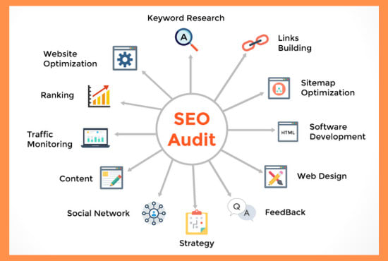 I will do SEO audit and develop action plan for your website