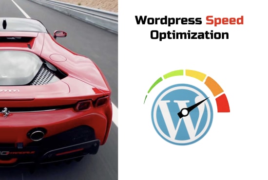 I will do wordpress speed optimization with gt metrix test