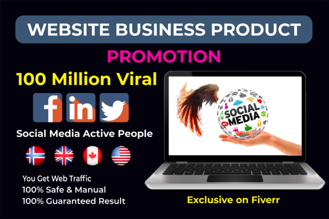 I will do your website, product, any web link promotion to millions top social user
