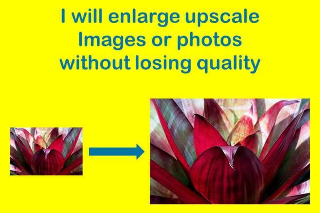 I will enlarge upscale image or photo without losing quality
