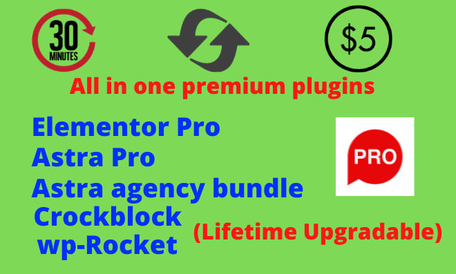 I will install elementor pro, astra agency to my agency licence, wp rocket in 2