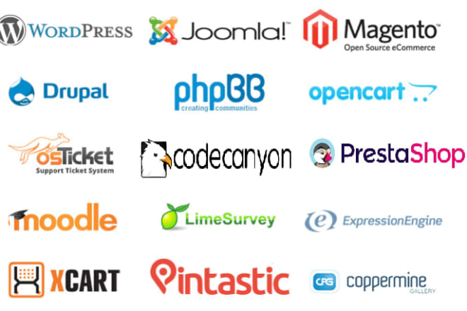 I will install wordpress, codecanyon, php script or any cms