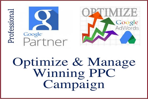 I will optimize and manage adwords campaign to maximize ROI