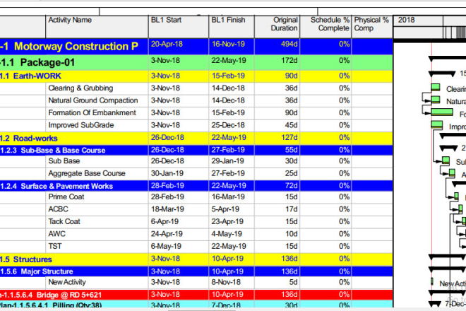 I will produce primavera and ms project work programme for your projects