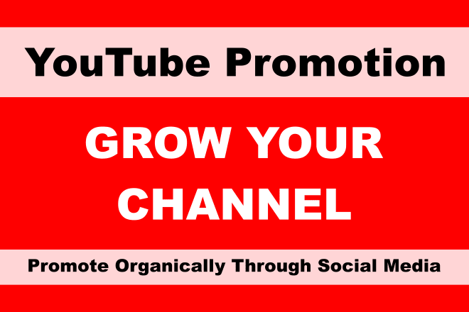I will promote youtube channel organically through social media to gain subs
