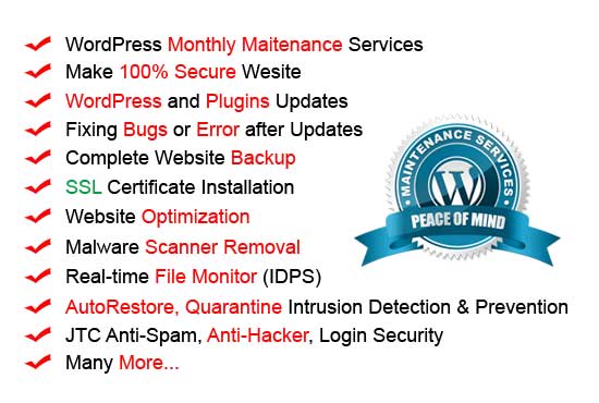 I will provide monthly wordpress maintenance