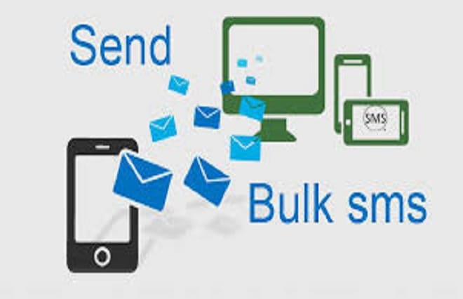 I will send bulk sms, sms campaign,sms marketing