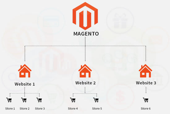 I will setup multi store and multi website magento 2