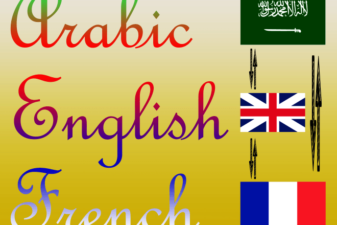 I will translate any type of document that is in arabic or french or english