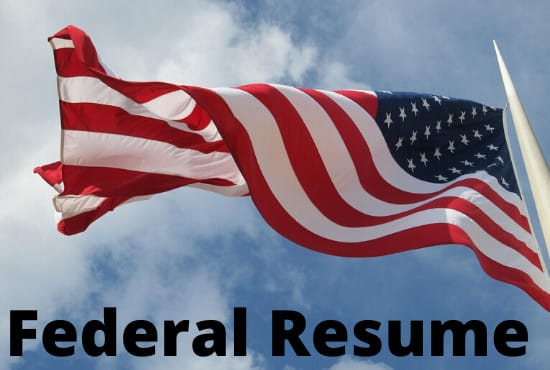 I will write a professional topnotch usajobs federal resume