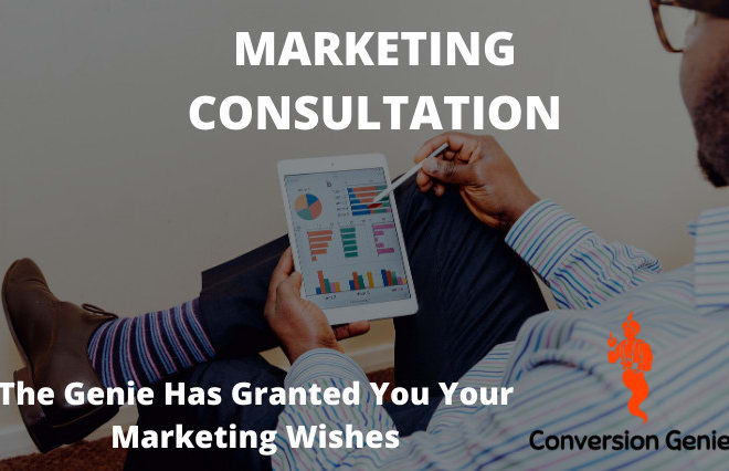 I will be your social media marketing consultant