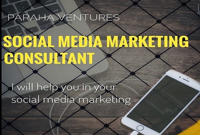 I will be your social media marketing consultant and manager
