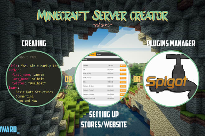 I will create a professional minecraft server for you