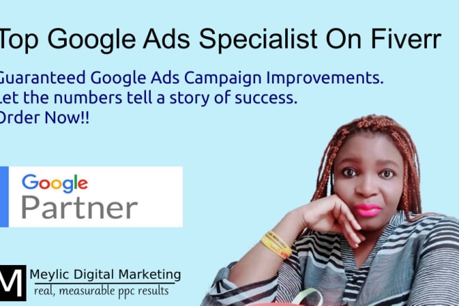 I will create a profitable google ads campaign in skag format