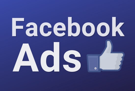I will create facebook paid ads campaign for your business