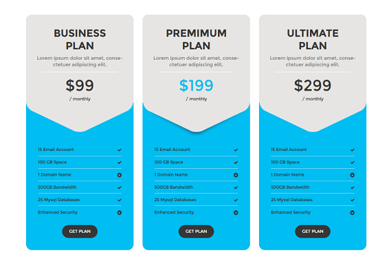 I will design a professional PRICING Table