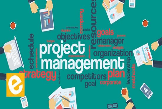 I will do task related to project management