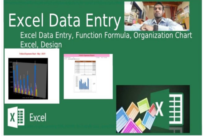 I will excel data entry convert pdf chart design and formulas for business