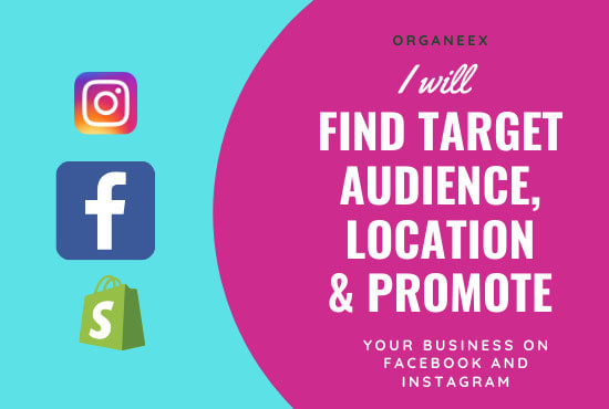 I will find target audience and location and promote ads campaign on facebook instagram
