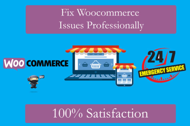 I will fix woocommerce errors, issues, bugs or wordpress problems