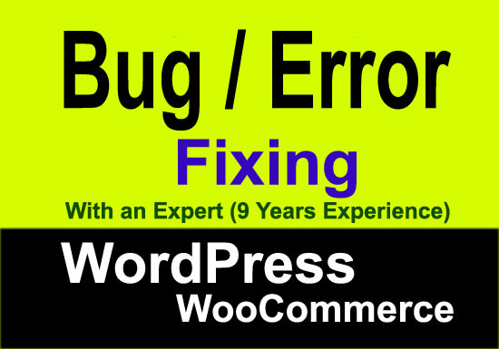 I will fix wordpress bug, error or technical problem within 1 hour