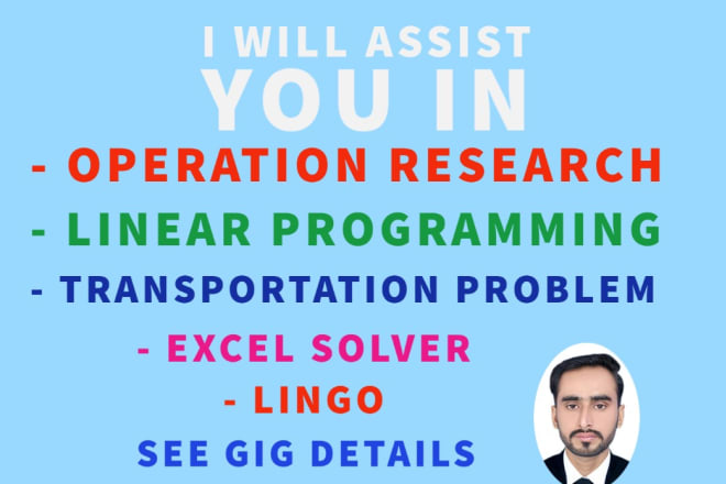 I will provide services in operation research, linear programing excel solver