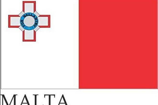 I will translate your document from maltese into english or italian