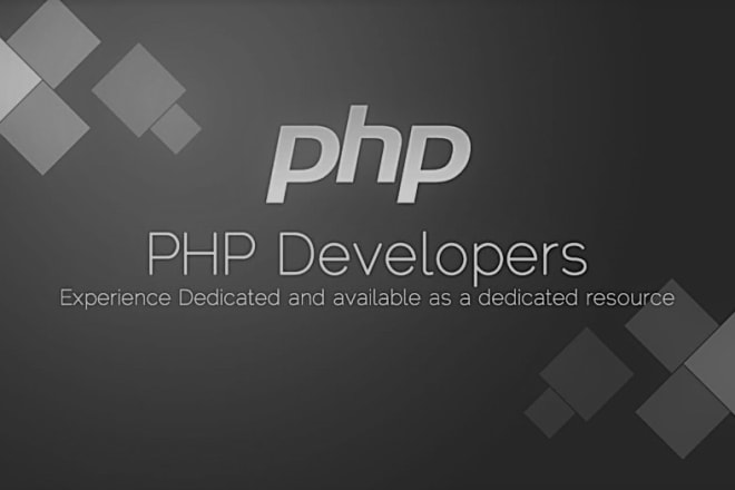 I will web programmer php, wordpress, ecommerce developer