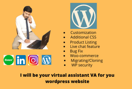I will be virtual assistant VA for your wordpress website