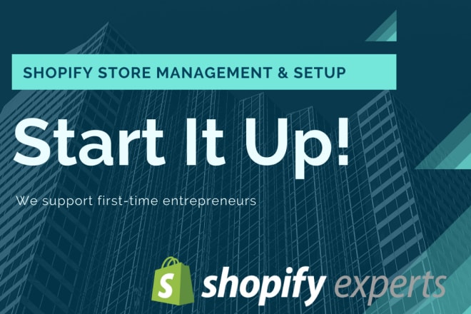 I will build and manage your dropshipping shopify store website