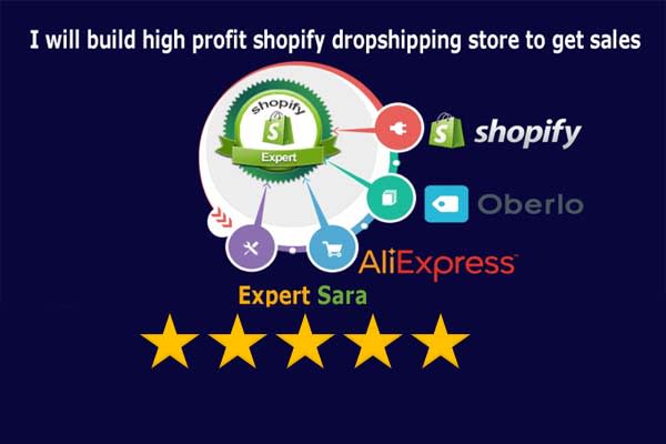 I will build high profit shopify dropshipping store to get sales