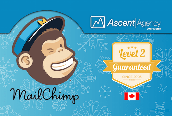 I will create a holiday mail chimp template campaign