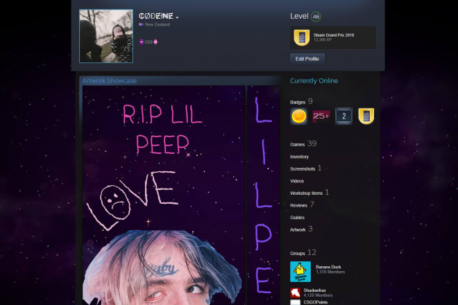 I will customize your steam profile to your liking